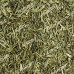 Grünhafer – Agrobs