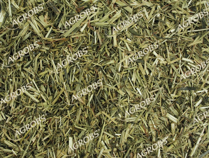 Grünhafer – Agrobs