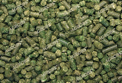 Luzernecobs – Agrobs