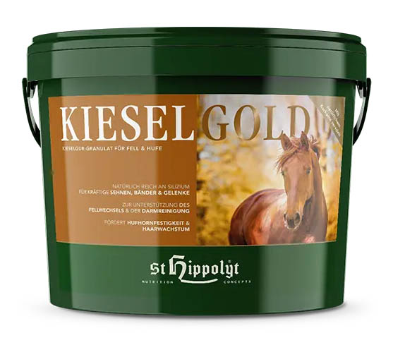Kieselgold – StHippolyt 4kg