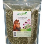 Echinacea – geschnitten