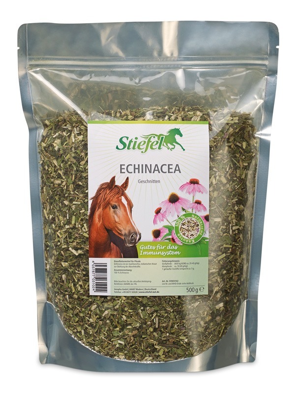 Echinacea – geschnitten