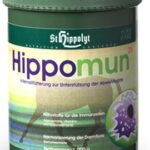 Hippomun – StHippolyt