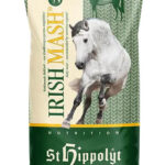 Irish Mash – StHippolyt