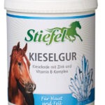 Kieselgur – Stiefel