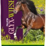 Glyx Wiese Müsli – StHippolyt
