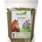 Thymian gerebelt – Stiefel